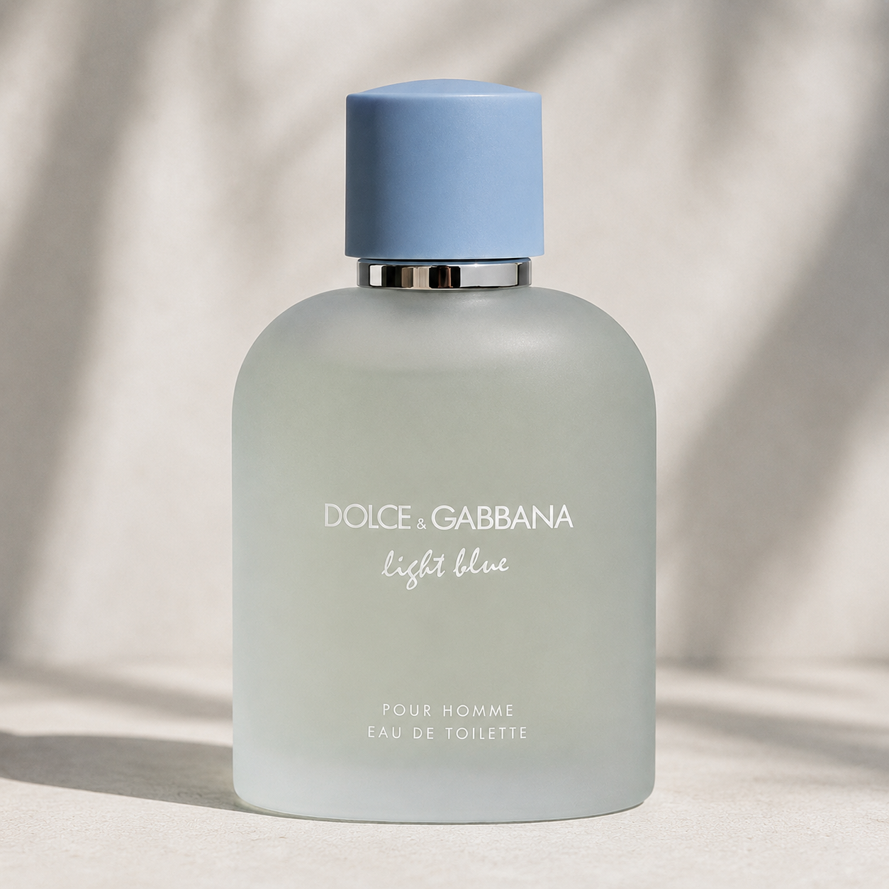 Dolce & Gabbana Light Blue Pour Homme Eau de Toilette 100ml